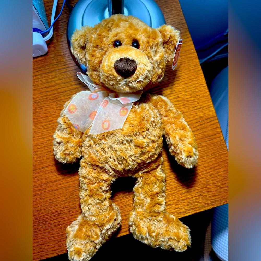 Vintage NWT Gund bear Marmalade
